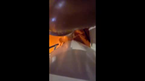 bastard_maker online show from April 21, 2026, 9:59 am