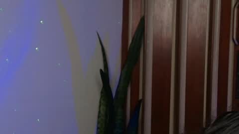 Snapshot of bastiel_ chatting on May 27, 2026, 1:57 am Bastiel online show from May 27, 2026, 1:57 am