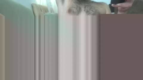 Snapshot of bathoneacock chatting on March 2, 2025, 8:16 am bathoneacock online show from March 2, 2025, 8:16 am