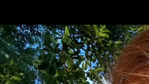 Battyredhair online show from April 6, 2026, 6:25 am