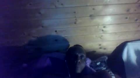 bbcmasterxl online show from December 22, 2025, 1:02 am