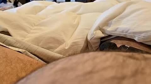 Snapshot of bbjj1970 chatting on November 29, 2025, 12:19 pm bbjj1970 online show from November 29, 2025, 12:19 pm