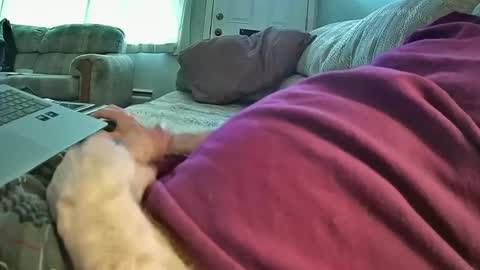 bcema2 online show from January 8, 2025, 9:44 pm