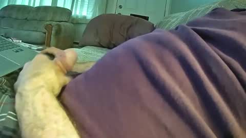 bcema2 online show from October 24, 2025, 3:30 pm