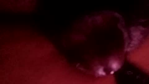 bcfalcon69 online show from April 1, 2026, 3:18 am