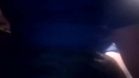 bcmow123 online show from February 22, 2026, 6:24 am