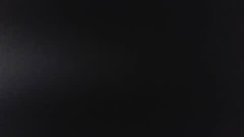 bear444535379 online show from April 13, 2026, 11:37 am