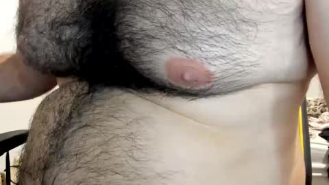 DOM bear online show from April 20, 2026, 2:42 pm