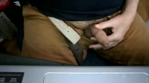 Snapshot of bearacuda555 chatting on December 14, 2025, 8:24 pm Bruno online show from December 14, 2025, 8:24 pm