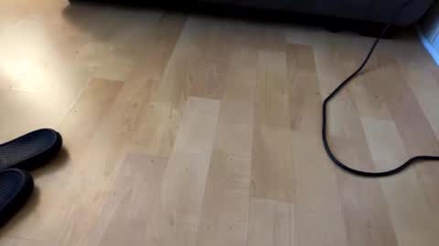 Snapshot of beardo1211 chatting on December 6, 2024, 7:54 am beard online show from December 6, 2024, 7:54 am