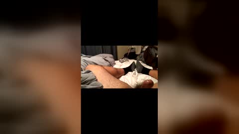 beaverwatcher online show from April 12, 2026, 1:32 am