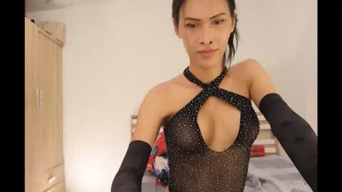 bee_thai online show from October 12, 2025, 6:29 pm