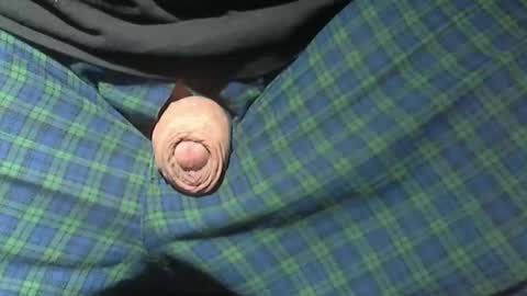  Reservoir Dogs online show from February 15, 2026, 2:52 am