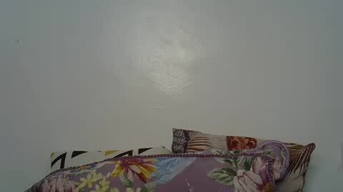 Snapshot of beeswee chatting on December 19, 2024, 6:01 am beeswee online show from December 19, 2024, 6:01 am