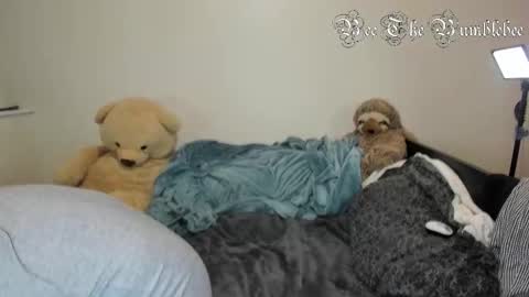 Snapshot of beethebumblebee chatting on February 24, 2026, 10:35 am Bee online show from February 24, 2026, 10:35 am