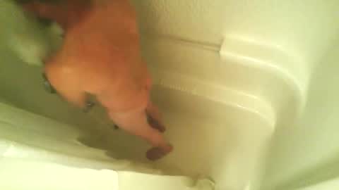 begme88 online show from April 7, 2026, 4:24 am