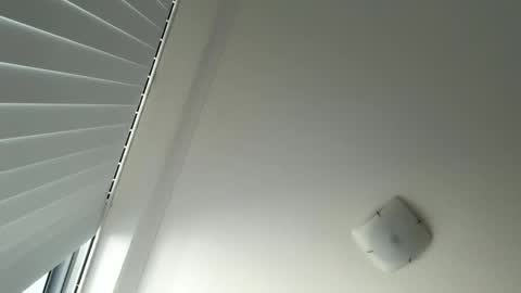 Snapshot of behindcloseddoorsau chatting on May 26, 2026, 2:40 am behindcloseddoorsau online show from May 26, 2026, 2:40 am
