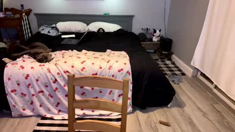 Roxy Rain online show from March 1, 2025, 4:00 pm