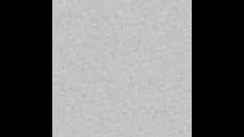 Bella online show from February 25, 2026, 11:20 am