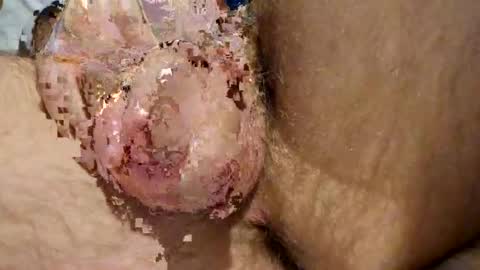 Snapshot of bellydancer69 chatting on February 12, 2026, 5:02 am bellydancer69 online show from February 12, 2026, 5:02 am