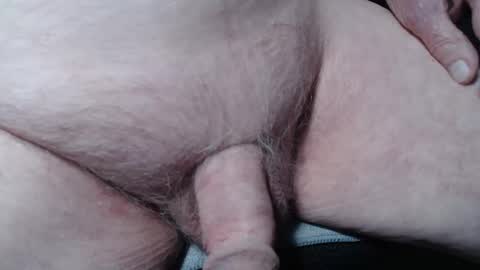 bender41 online show from November 8, 2025, 5:29 am