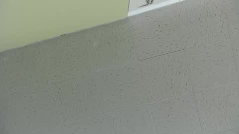 Snapshot of bennn54 chatting on March 2, 2025, 7:45 pm Ben online show from March 2, 2025, 7:45 pm