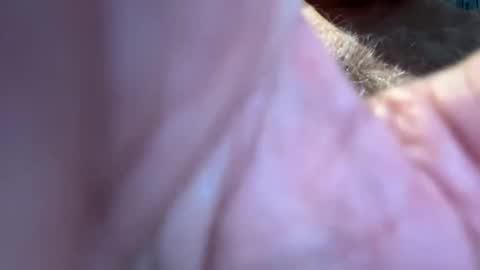 benz10001 online show from September 13, 2025, 12:49 pm