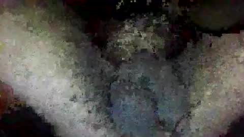 Snapshot of bertdollaz757 chatting on January 14, 2026, 2:01 pm ToxicPipe757 online show from January 14, 2026, 2:01 pm