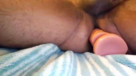 bertopdx online show from June 14, 2026, 6:54 pm