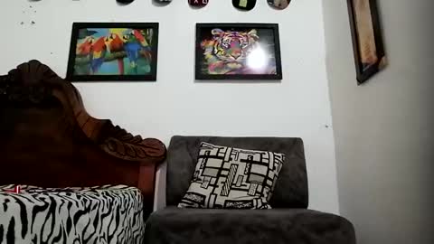 Snapshot of bestia_salvaje chatting on December 21, 2024, 11:56 pm Andres online show from December 21, 2024, 11:56 pm