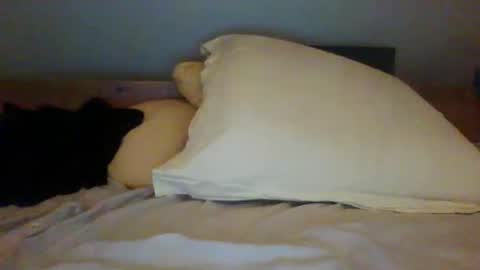 Snapshot of bibipheuck chatting on November 13, 2025, 12:04 pm bibipheuck online show from November 13, 2025, 12:04 pm