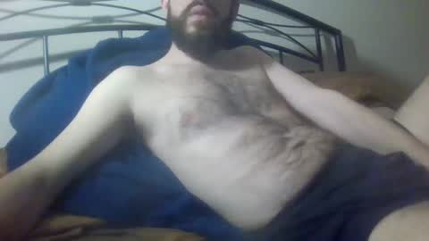 Snapshot of bibotguy chatting on December 19, 2024, 4:02 am bibotguy online show from December 19, 2024, 4:02 am