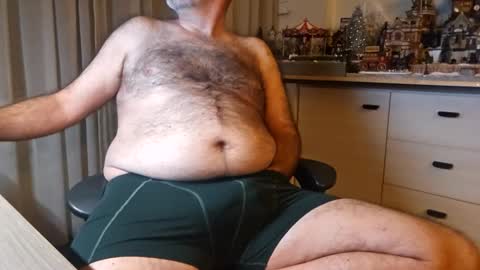 Snapshot of bigbibear88 chatting on December 10, 2024, 11:30 pm bigbibear88 online show from December 10, 2024, 11:30 pm
