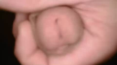 Snapshot of bigbk42 chatting on July 24, 2026, 7:45 pm bigbk42 online show from July 24, 2026, 7:45 pm
