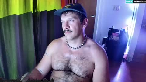 BigBro online show from July 2, 2026, 4:40 am