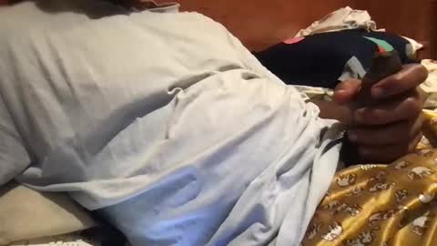 Snapshot of bigbrown_boy chatting on September 21, 2025, 7:48 pm bigbrown_boy online show from September 21, 2025, 7:48 pm