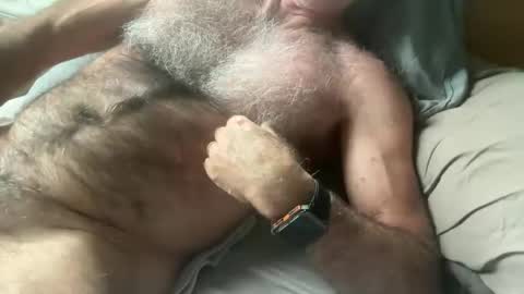 Snapshot of bigbush1 chatting on January 17, 2025, 5:32 am big bush online show from January 17, 2025, 5:32 am