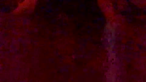 Hunny online show from February 7, 2026, 3:10 am