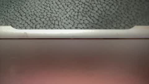 bigcocksuckingslut online show from February 2, 2025, 5:26 pm