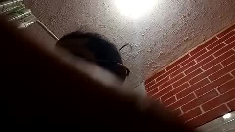 Snapshot of bigdaddy1231995 chatting on October 28, 2025, 9:24 am BigDaddykodack online show from October 28, 2025, 9:24 am