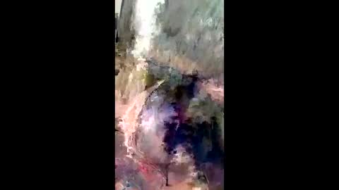 Daddchuko online show from April 26, 2026, 11:41 am