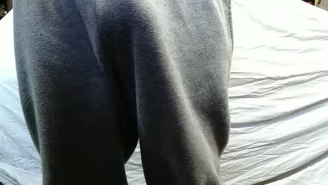 bigdickdaddy567130413 online show from January 15, 2025, 2:46 pm