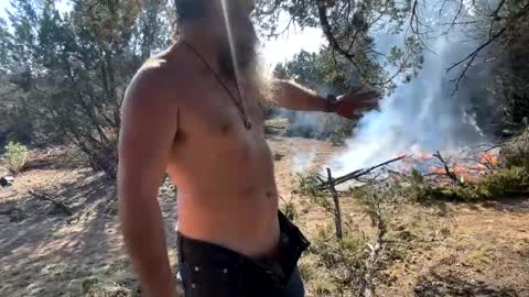 Snapshot of bigdickedbi chatting on December 21, 2024, 7:49 pm Bearded Dad online show from December 21, 2024, 7:49 pm