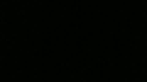 bigdickfitdude34 online show from September 27, 2025, 11:10 pm