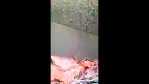 Snapshot of bigernine chatting on January 10, 2026, 11:23 am bigernine online show from January 10, 2026, 11:23 am