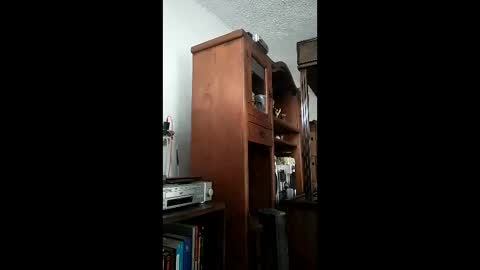 bigfalo58 online show from December 20, 2025, 6:37 pm