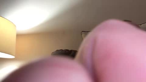 biggloves4bighands online show from November 16, 2025, 12:05 am