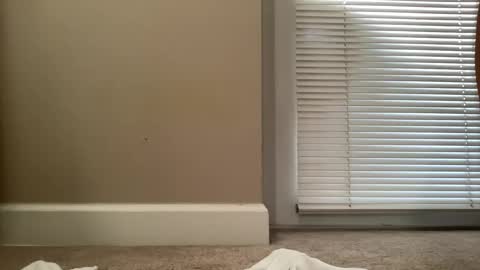 bigjohnsmith5 online show from February 11, 2025, 9:03 pm