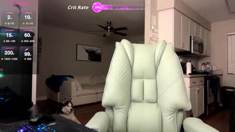 Snapshot of bigmcr1 chatting on February 3, 2026, 2:53 am Nick Barker online show from February 3, 2026, 2:53 am