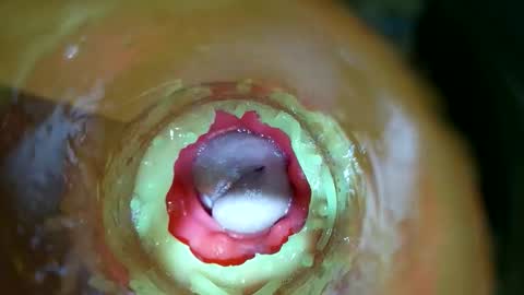 Snapshot of bigmoneycorey chatting on March 14, 2026, 7:30 pm bigmoneycorey online show from March 14, 2026, 7:30 pm